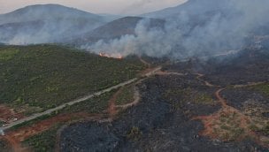 Bodrum'daki orman yangınını söndürme çalışmaları aralıksız sürüyor