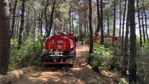 Beykoz'da ormanlık alanda çıkan yangın kontrol altına alındı