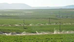 İki yıl üst üste işlenmeyen tarım arazileri kiralanacak