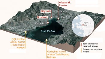 İzmir Körfezi'nde balık ölümleri sürüyor