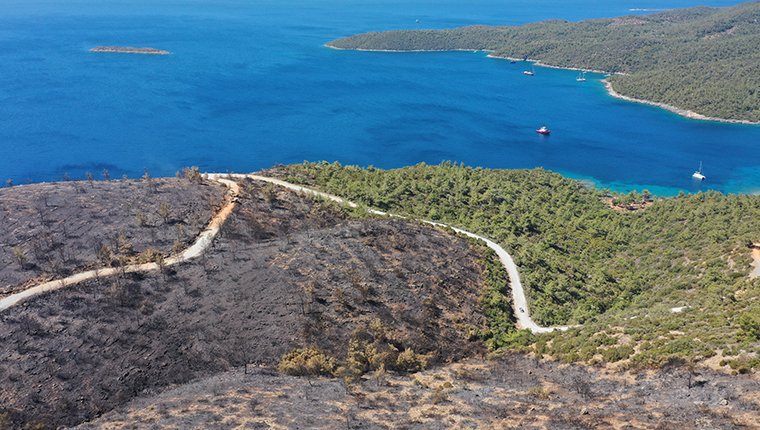 Bodrum ve Milas'ta yanan ormanlık alanlar havadan görüntülendi