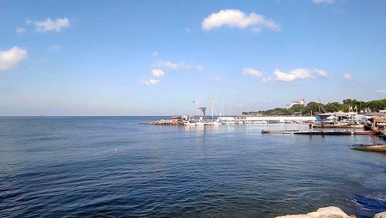 Marmara Denizi'nde balıklar görünmeye başladı