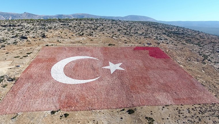 Mersin'de 22 dönümlük araziye Türk bayrağı işlendi!