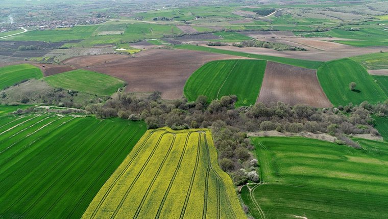 Trakya'daki arsalara ilgi katlandı, uzmanlar yatırımcıları uyardı!