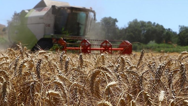 Tarımsal destekleme ödemeleri bugün çiftçilerin hesaplarına yatırılacak