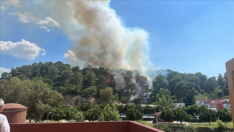 Antalya'da orman yangını başladı!