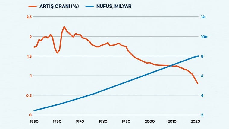 Dünya nüfusu 8 milyarı geçti