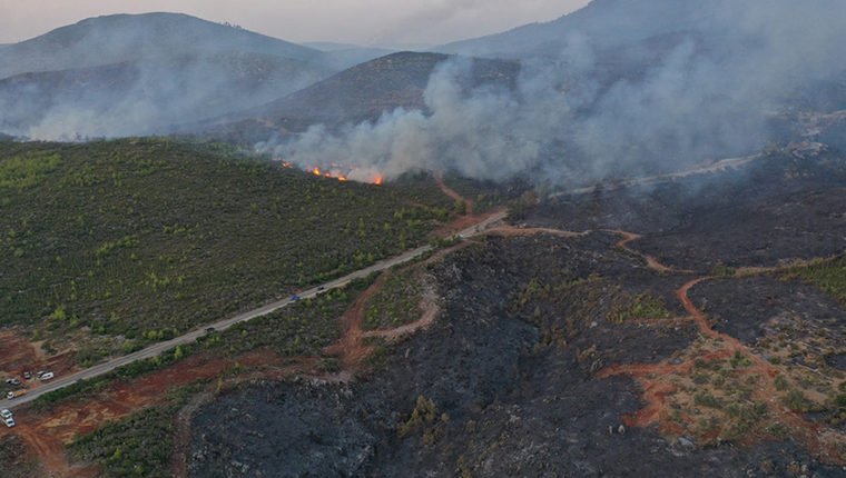 Bodrum'daki orman yangınını söndürme çalışmaları aralıksız sürüyor